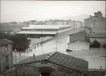 Foto_Alluvione_in_Vial0026