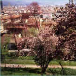 Rezervace muzea ve Florencii: Bardini Garden