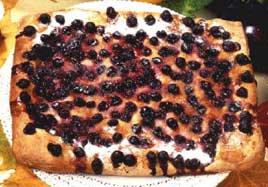 �Ԃǂ��p��