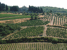Chianti