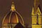 Guided tours and visits in Florence: day and night guided tours