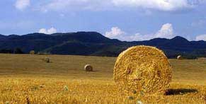 Excursions around Florence: Mugello