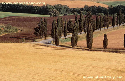 Tuscany Villas for rent