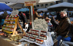 Fierucolina in Santo Spirito Square