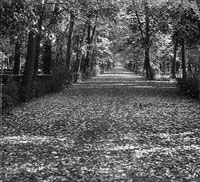 Parks in Florence: Parco delle Cascine